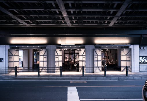 Top Czech Live Dealer Casino Games: A Guide to Real-Time Thrills